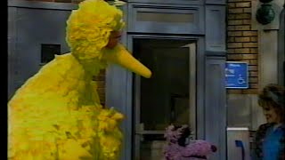 Sesame Street  Scenes from 3251 [upl. by Russell]