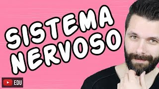 SISTEMA NERVOSO  FISIOLOGIA  Aula  Biologia com Samuel Cunha [upl. by Novla]