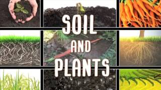 All About soil [upl. by Nas]