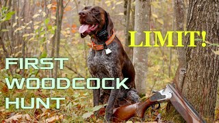 GSPs First Woodcock Hunt  LIMIT [upl. by Dewees155]