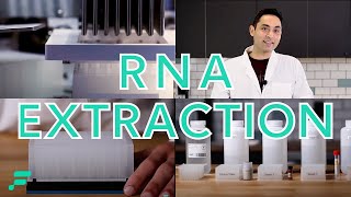 RNA Extraction Demonstration [upl. by Zorana252]