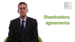 Shareholders agreements  In a nutshell [upl. by Ioved291]