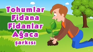 Tohumlar Fidana Fidanlar Ağaca Şarkısı [upl. by Mendez]