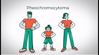 Pheochromocytoma amp Hyperaldosteronism  MedicalSurgical  Endocrine  LevelUpRN [upl. by Ahsuatan]