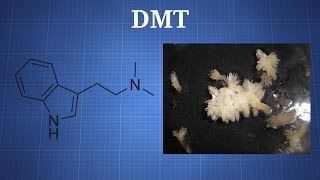 Dimethyltryptamine DMT What You Need To Know [upl. by Garald]