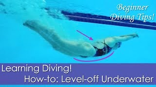 Beginner Learning Diving Howto Leveloff Underwater [upl. by Farah]