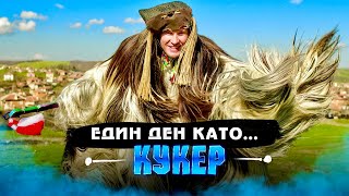 ДЕН като КУКЕР еп4 [upl. by Wehttam]