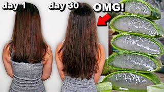 30 DAYS OF ALOE VERA FOR HAIR GROWTH BEFORE AND AFTER RESULTS [upl. by Shwalb]