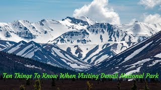 Top 10 Things to Know When Visiting Denali National Park [upl. by Warram]