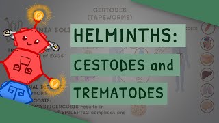 Helminths Cestodes and Trematodes transmission clinical importance and treatment [upl. by Marni]