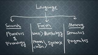 SEMANTICS1 What is Semantics [upl. by Aisat751]