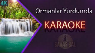 Ormanlar Yurdumda Karaoke [upl. by Hephzipa]