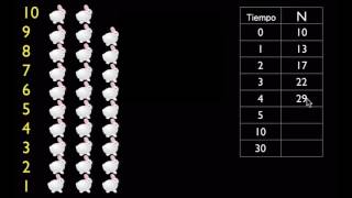 Crecimiento exponencial  Ecología  Biología  Khan Academy en Español [upl. by Gates]