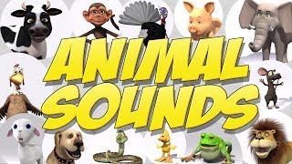 Learn Animal Sounds [upl. by Narf]