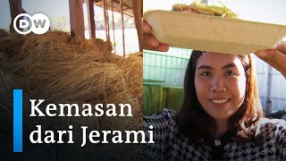 Kemasan Makanan Ramah Lingkungan dari Limbah Jerami Padi [upl. by Liban941]