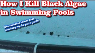 Tips for Swimming Pool Black Algae Removal [upl. by Orgell]