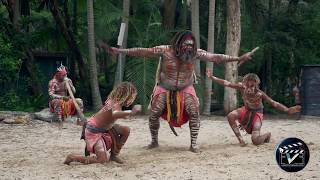 Aboriginal dance show  Australia [upl. by Anerres]