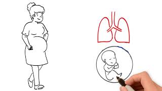 Pregnancy and the Respiratory System [upl. by Colver]