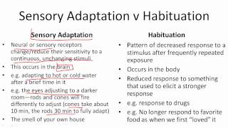 Sensory Adaptation v Habituation [upl. by Nosremaj]