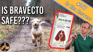 Is Bravecto Safe for Your Dog or will it cause seizures  Dog Health Vet Advice [upl. by Ilowell]