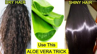 Use Aloe Vera This way To Turn Dry Hair To Shiny Hair Naturally Aloe Vera Gel For Hair Priya Malik [upl. by Inohs]