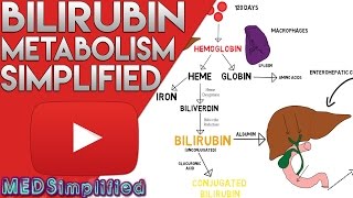 Bilirubin Metabolism Simplified [upl. by Tu]