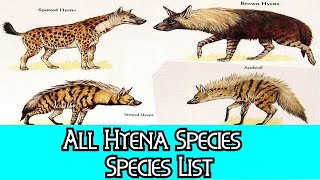 All Hyena Species  Species List [upl. by Aelram798]