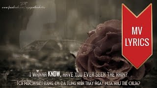 Have You Ever Seen The Rain  Creedence Clearwater Revival  Lyrics Kara  Vietsub HD [upl. by Melone]