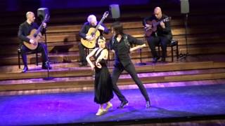 Flamenco at Palau de la Musica Catalana Barcelona 2017 [upl. by Atnek579]