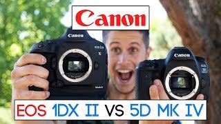 Which one is better for you Canon EOS 1Dx MK II vs Canon EOS 5D MK IV english [upl. by Rogerg]