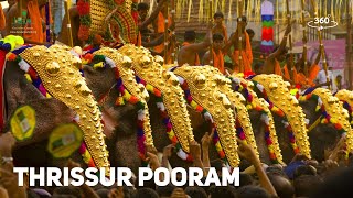 Thrissur Pooram  A Feast for the Eyes  360° Experience  Temple Festivals  Kerala Tourism [upl. by Latnahc]