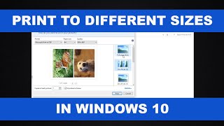 How to Print Photos in Different Sizes in Windows 10 [upl. by Aihtniroc732]