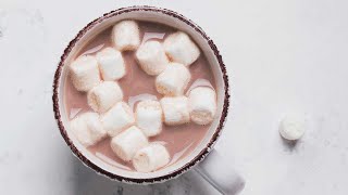 How to Make Hot Cocoa  Rich Chocolatey and Homemade [upl. by Brandt]