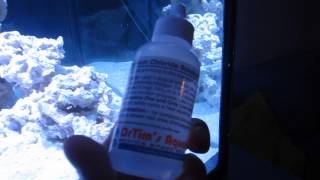 Reef Aquarium  Fishless Cycling with ammonium chloride [upl. by Thorbert132]