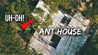 The Concerning Thing About the New Ant House [upl. by Farika]