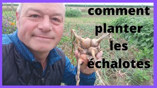 comment planter les échalotes [upl. by Sloatman]