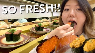 CONVEYOR BELT SUSHI FEAST🍣 Tokyos FRESHEST Sushi Train Experience [upl. by Meier518]