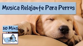 Musica de relajacion para perros [upl. by Renie]