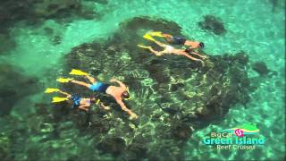 Snorkeling the Great Barrier Reef [upl. by Nylhsoj83]