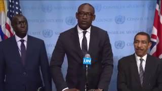 Abdoulaye Diop Mali on the situation in Mali  Media Stakeout [upl. by Yelak45]