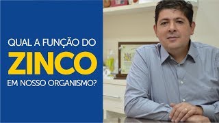 Qual a função do ZINCO em nosso organismo [upl. by Eeltrebor]