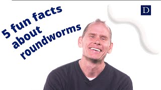 5 Fun Facts about Roundworms [upl. by Arrek624]