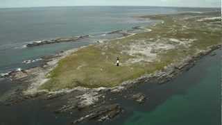 Welcome to the Falkland Islands [upl. by Melanie784]