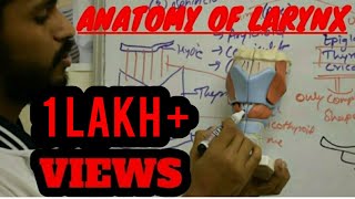 ANATOMY OF LARYNX [upl. by Aseiram]