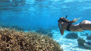 GO PRO  Amazing SNORKELING in Tahiti  French Polynesia [upl. by Garcon]