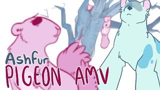 Ashfur Pigeon AMV gore warning [upl. by Suolevram]