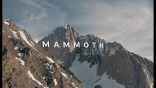 MAMMOTH [upl. by Lovich]