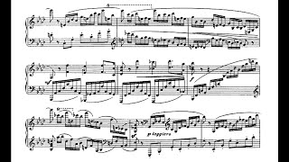 Sergei Lyapunov ‒ Piano Sonata Op27 [upl. by Ashien]