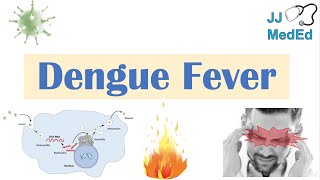 Dengue Fever  Pathophysiology Symptoms Diagnosis amp Treatment [upl. by Atalanta151]