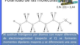 Polaridad de las moléculas orgánicas  Lección Teórica [upl. by Anitsirk]